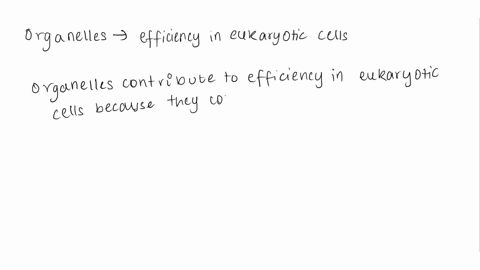 how-do-organelles-contribute-to-efficiency-in-eukaryotic-cells-59065