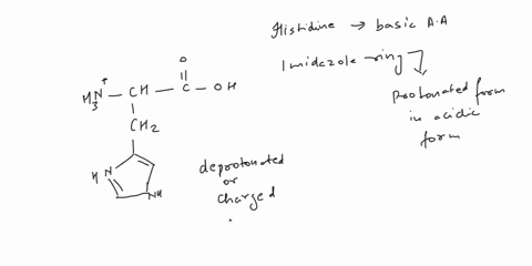 ali-amino-acids-have-two-ionizable-functional-groups-an-amino-group-average-pk-of-94-and-an-a-carboxylic-acid-group-average-pk_-of-22-histidine-also-has-an-ionizable-side-chain-r-group-with-58427