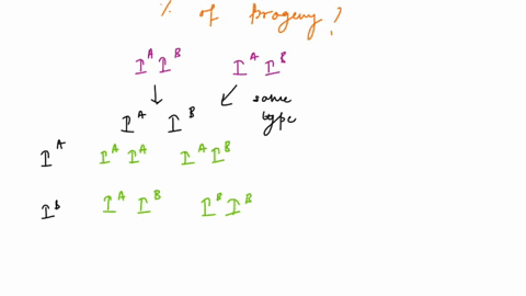 biology-urgent-i-will-make-sure-to-upvote-blood-type-is-controlled-by-3-alleles-a-ia-bib-o-i-a-b-are-codominant-o-is-recessive-1-a-what-are-the-two-genotypes-possible-for-a-person-who-as-a-b-55507