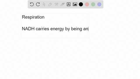 in-cellular-respiration-what-molecule-carries-chemical-energy-from-glycolysis-pyruvate-oxidation-and-the-citric-acid-cycle-into-the-electron-transport-chain-where-it-can-be-used-to-make-atp-74718