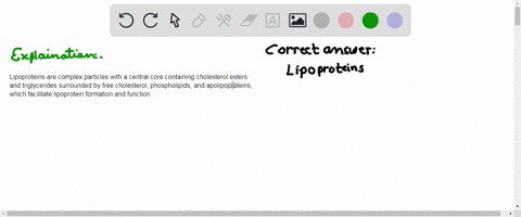 question-1-1-point-what-complexes-are-composed-of-cholesterol-and-lipids-that-contain-the-sphingosine-backbone-including-sphingomyelin-and-certain-glycolipids-and-with-gpi-anchored-proteins-09605