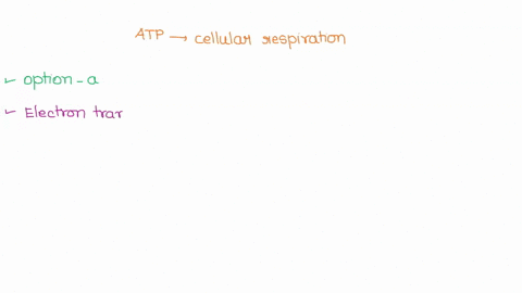 question-14-2-points-most-of-the-atp-produced-in-cellular-respiration-is-produced-during-a-electron-transport-and-chemiosmosis-b-lactic-acid-fermentation-glycolysis-d-the-citric-acid-cycle-e-53459