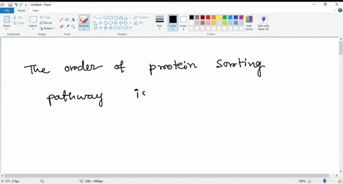 the-protein-sorting-pathway-involves-the-following-organelles-compartments-in-order-a-ser-rer-transport-vesicle-golgi-b-rer-lysosome-golgi-c-rer-transport-vesicle-golgi-final-destination-d-g-60345