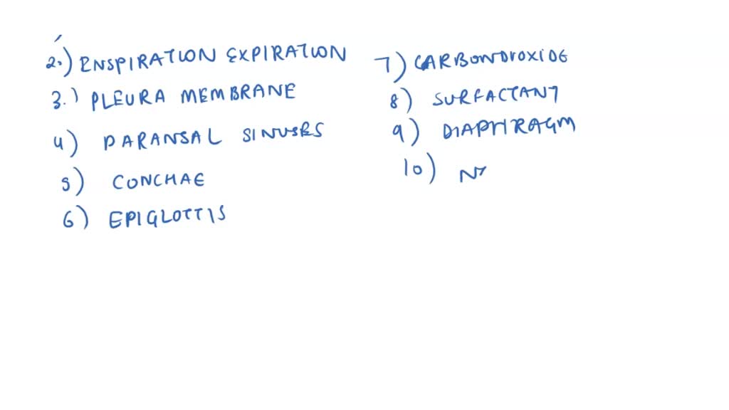 SOLVED: (Options: Gills, Lungs, tracheal system, Treachea, Bronchi