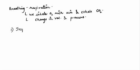 explain-the-process-of-breathing-make-sure-to-describe-the-volume-and-pressure-changes-please-process-in-detailsstages-38451
