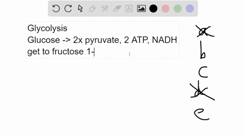 26-all-the-following-are-true-statements-concerning-glycolysis-except-it-occurs-in-the-cytoplasm-of-the-cell-it-uses-as-well-as-produces-atp-produces-atp-by-oxidative-phosphorylation-it-invo-37883