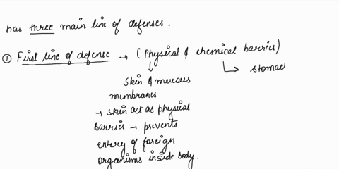 identify-the-bodys-three-lines-of-defense-against-pathogens-25944