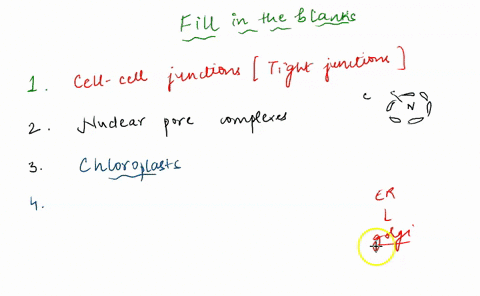 part-1-this-activity-will-help-you-identify-functions-of-cellular-structures-label-each-listed-function-with-the-corresponding-cellular-structure-use-full-names-not-abbreviations-acceptable-83274