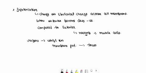 depolarization-and-repolarization-depolarization-for-the-toolbarpress-altf10pcor-altfnf10mac-bis-paragraph-arial-14px-owordspowered-bytiny-5points-siveawe-question33-pepolarlization-for-the-35064