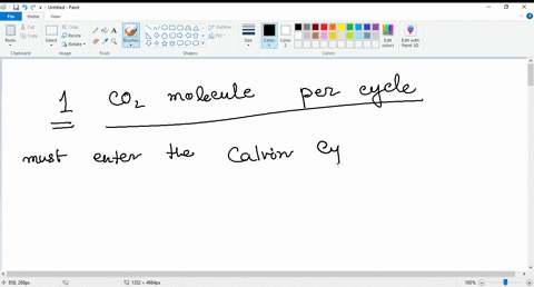 how-many-co2-molecules-must-enter-the-calvin-cycle-for-each-molecule-of-triose-phosphate-that-can-be-exported-from-the-chloroplast-32232