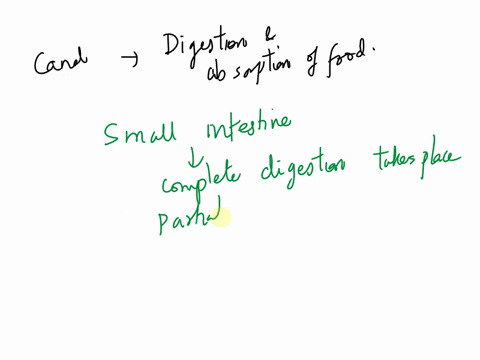 name-the-digestive-canal-involved-in-a-digestion-and-absorption-of-food-84982