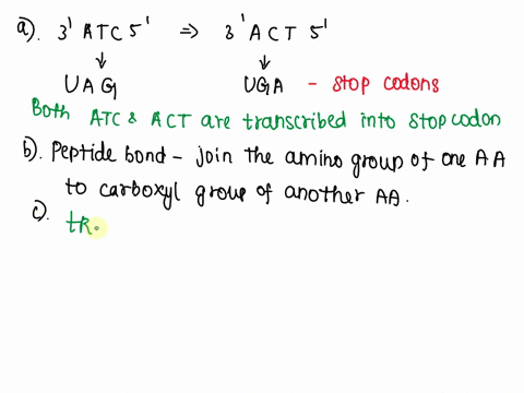 as-a-result-of-a-substitution-mutation-a-normal-dna-base-triplet-3-atc-5-is-charged-to-3-act-5-describe-specifically-what-effect-this-would-have-on-the-resulting-protein-use-your-codon-sheet-02627