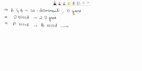 d-question-13-2-pts-blood-type-is-inherited-by-multiple-alleles-this-means-that-more-than-two-genes-code-for-this-trait-the-genes-involved-are-the-a_-b-and-0-genes-the-a-and-the-b-genes-are-67508