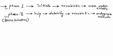 describe-the-importance-of-phase-and-phase-il-enzymes-in-toxicokinelics_-explain-what-is-meant-by-a-reactive-metabolite_-what-type-of-enzyme-generally-lead-t0-a-reactive-metabolite-what-aspe-46014