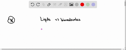what-are-the-three-main-biochemical-functions-of-lipids-37586