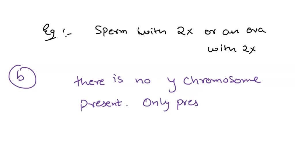 Xxxx Siex Video - SOLVED: Humans with the sex genotype XXX (triple X syndrome) are  phenotypically female. The additional phenotypic consequences of this  unusual genotype are generally relatively mild. Using your understanding of  meiosis and sex