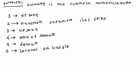 appendicdenosxeleton-127-d-bones-and-bone-markings-of-the-pelvic-girdle-and-the-lower-limb-etify-the-bone-and-bone-markings-i-fite-1011-ibo-7-116-1-3000-7-8-9-10-11-12-13-9bone-14-15-18bone-97822