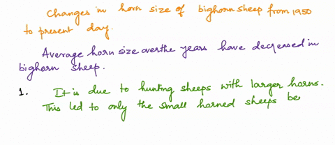 focus-on-the-evolution-of-the-horn-size-in-the-bighorn-sheep-population-from-1950-to-present-explain-how-selection-was-a-factor-in-the-evolution-of-horn-size-since-1950_-the-hunters-chose-to-78018
