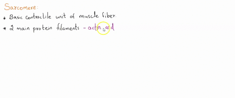thin-and-thick-filaments-are-organized-into-functional-units-called-_________-a-myofibrils-b-myofila-87864