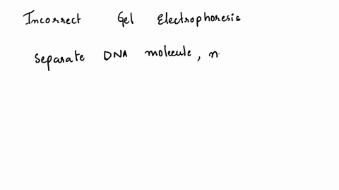 which-of-the-following-is-an-incorrect-statement-concerning-gel-electrophoresis-the-smallest-pieces-of-dna-will-travel-further-and-faster-gel-electrophoresis-relys-on-the-fact-that-dna-is-po-15873