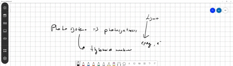 which-of-the-following-structures-is-not-a-component-of-a-photosystem-a-antenna-molecule-b-atp-synthase-c-primary-electron-acceptor-d-reaction-center