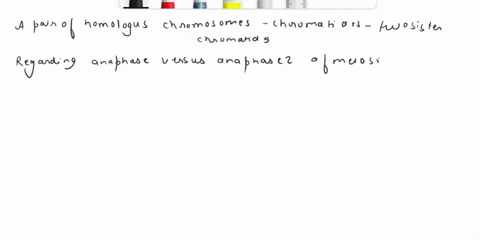a-pair-of-homologous-chromosomes-would-include-four-unique-chromosomes-two-sister-chromatids-that-have-synapsed-two-single-stranded-chromosomes-that-have-synapsed-four-sister-chromatids-eigh-76572
