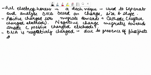 pre-lab-name-18-gel-electrophoresis-tl-pel-eleetroplresi_-uechui-dumlcceculce-dusct-ncz-sn40t-positively-elurged-ions-migrate-towards-the-olled-cathodelanode-and-negatively-charged-ions-migr-67584
