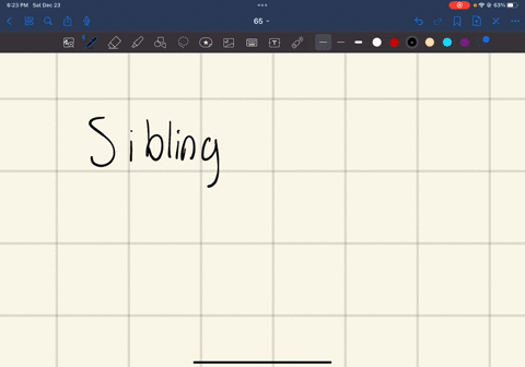 why-are-siblings-such-an-important-factor-in-elderly-individuals-having-successful-coping-skills-does-this-mean-that-aging-persons-without-siblings-either-due-to-loss-or-perhaps-because-they-20758