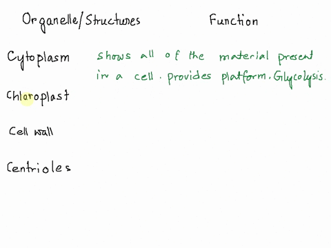 write-in-the-functions-of-each-organelle-describe-the-function-of-each-organelle-cytoplasm-shows-all-of-the-mterial-present-in-a-cell-except-nucleus-it-provides-platform-for-various-cellular-76747