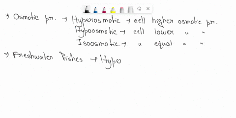 question-7-fotn-feshialcrbony-fsh-t0-maintain-in-osmotic-balance-in-their-environment-il-must-adapt-t0-its-surroundings-seting-whcthez-the-fish-is-hyperosmotic-hypoosmotic-or-isosmotic-0-the-00485