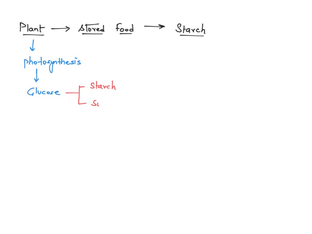 SOLVED: Plants store sugar as starch? True False