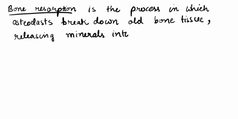 chapter-bones-and-bone-tissuo-module-65-bone-remodeling-and-repair-bone-very-dynamic-tissue-constantly-undergoing-the-process-bonc-remodeling-the-topic-we-now-cxamine-at-the-end-of-this-modu-39447