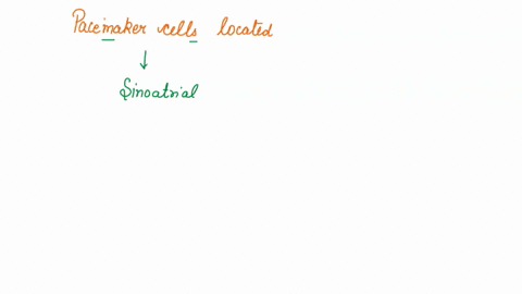 intrinsic-pacemaker-cells-are-located-in-the-20113