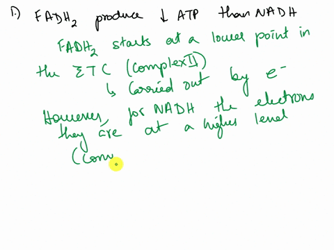 question-3-5-points-in-aerobic-respiration-fadre-drives-the-produetion-0f-2-atps-while-nadre-drives-the-produetion-of-3-atps-explain-why-this-is-so-explain-the-role-of-creatine-phosphate-in-45066
