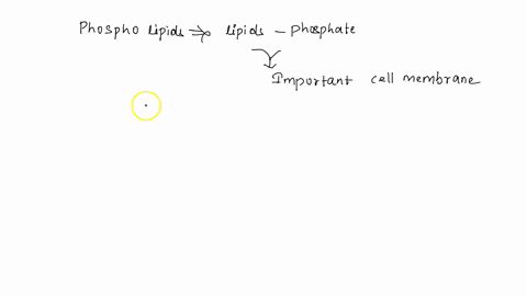 question-14-2-points-phospholipids-are-components-of-cellular-membranes-choose-the-false-statement-about-phospholipid-structure_-phospholipids-have-hydrophilic-fatty-acid-tails-phospholipid-61215
