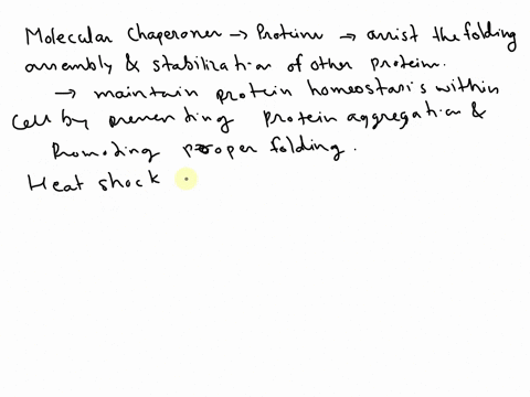 what-are-molecular-chaperones-and-heat-shock-proteins-describe-their-functions-would-an-intein-containing-protein-be-successfully-folded-by-trigger-factor-alone-explain-your-answer-08887