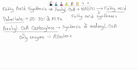 which-of-the-following-statements-is-false-group-of-answer-choices-palmitate-is-the-end-product-of-fatty-acid-synthesis-all-of-the-enzyme-activities-required-for-fatty-acid-synthesis-in-mamm-40778
