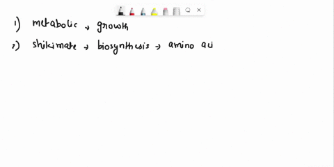 which-of-the-following-is-primary-metabolic-pathway-a-shikimate-pathway-b-isoprenoid-synthesis-gluconeogenesis-d-alkaloid-synthesis-e-more-than-one-of-the-aforementioned-enzymes-that-are-onl-48693