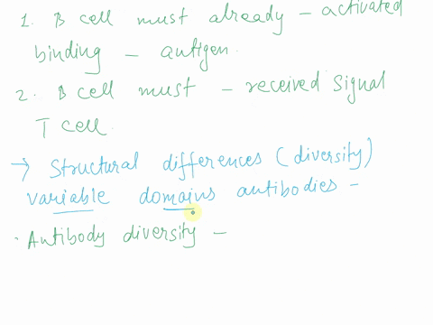 what-are-two-requirements-for-isotope-switching-to-occur-what-is-defined-as-the-structural-differences-diversity-observed-in-the-variable-domains-of-antibodies-25527
