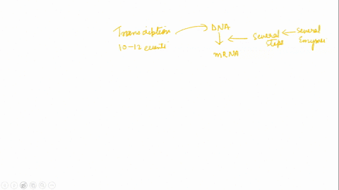 someevents-that-may-occur-during-transcription-rna-polymerases-detad-dna-polymerases-detach-dma-polymerases-proofread-rna-double-helix-is-unzipped-dna-double-helix-is-unzipped-dna-double-hel-32457