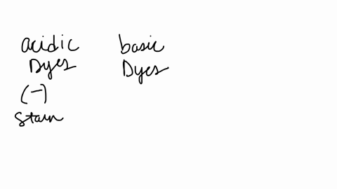 what-role-of-acidic-dyes-and-basic-dyes-in-capsule-staining