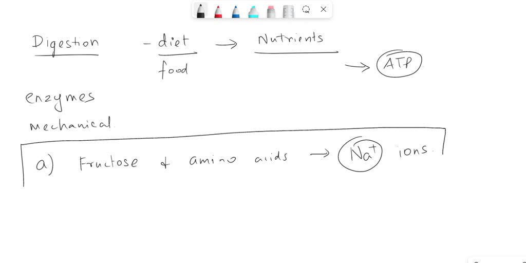 Which Of The Following Statements Regarding Glucose Absorption Is True SOLVED: Which one of the following statements is true regarding