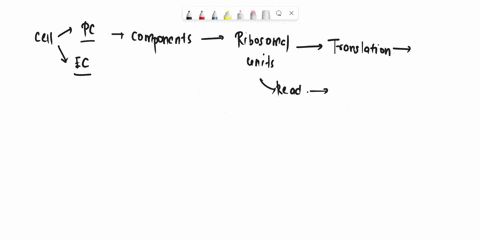 please-help-a-prokaryotic-large-ribosomal-subunit-is-composed-of-a-mrna-and-protein-b-only-proteins-folded-together-c-rrna-and-protein-d-only-rrnas-folded-together-e-trna-and-protein-24957