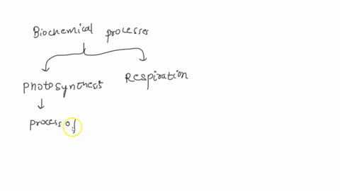 these-are-biochemical-processes-of-an-organism-66033