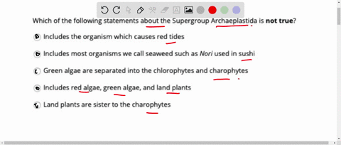 question-3-which-of-the-following-statements-about-the-supergroup-archaeplastida-is-not-true-includes-the-organism-which-causes-red-tides-includes-most-organisms-we-call-seaweed-such-as-nori-84583