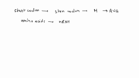 second-letter-uuu-phenylalanine-ucu-uuc-_-d_-ucc-serne-s-uua-leucine-uca-uug-ucg-uau-tyrosine-ugu-cysteine-c-uac-ugc-ua4-top-codon-2gj-top-codon_-u4g-sop-codon-ugd-tryptophan-5-cuu-ccu-cau-h-74171