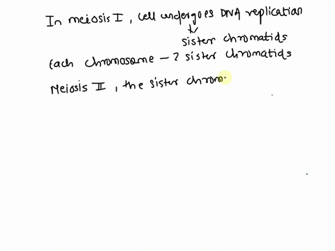 you-are-studying-a-diploid-organism-that-has-14-palrs-of-chromosomes-how-many-chromatids-will-a-cell-from-this-crganism-have-in-metaphase-of-meiosisi1-mutipiechoice-28-56-112-prev-33ot40-1xo-16177