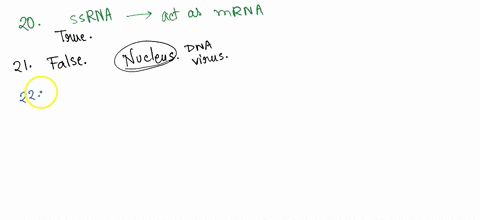 false-viruses-with-ssrna-genomes-can-be-directly-translated-20-true-or-true-or-false-dna-viruses-usually-replicate-their-genome-in-the-cytoplasm-22-true-or-false-most-naked-viruses-exit-the-01458