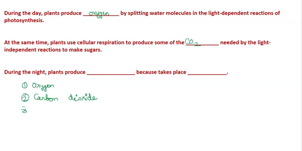 SOLVED During the day, plants produce oxygen by splitting water