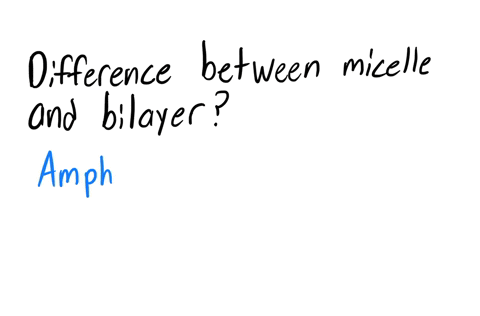 15-all-the-following-are-considered-as-polymers-except-proteins-a-lipid-b-nucleic-acids-c-carbohydrates-16-which-of-the-following-constitute-the-most-abundant-elements-in-living-organisms-b-22845